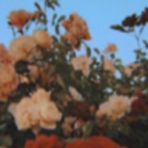 Meet your Posher, Sophia